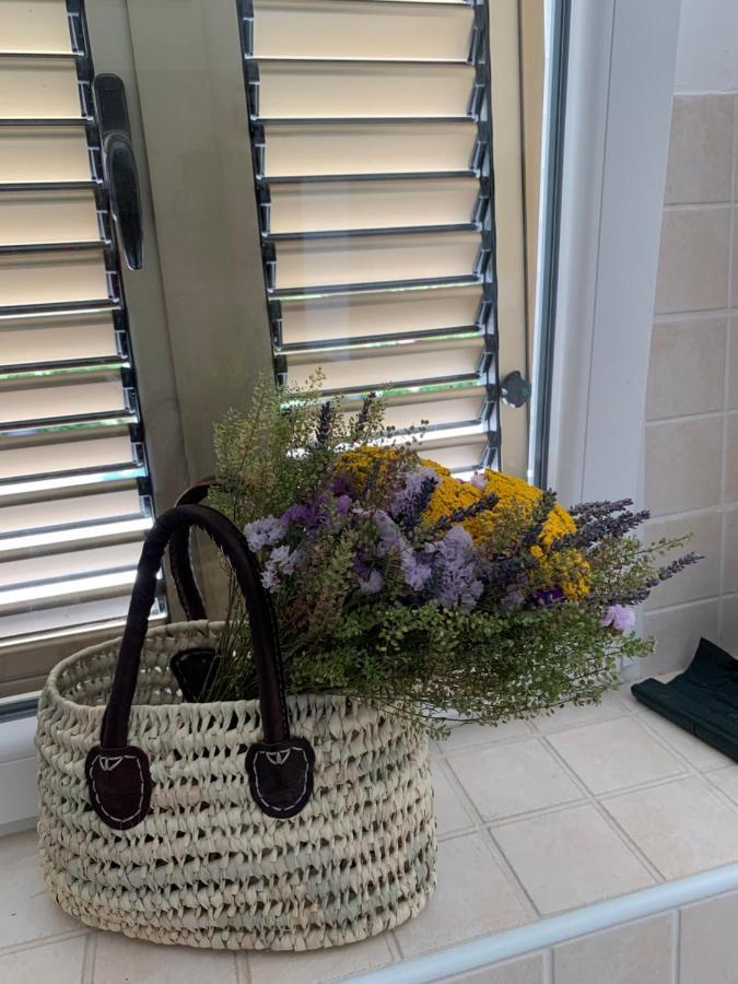 Marija Apartamento Crikvenica